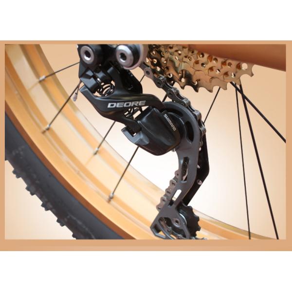 Gold 30 Speed 26x4.0 Inch Fat Wheel Mountain Bike