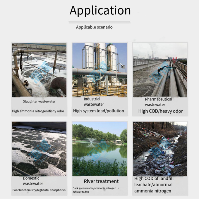 Aerobic Agents Bacteria Grey Powder wastewater Treatment BOD COD Ammonia Nitrogen Removal 0