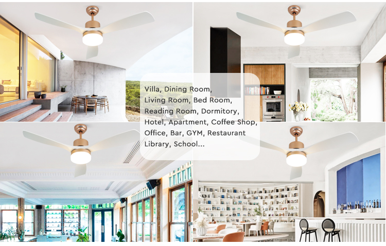 ceiling fan