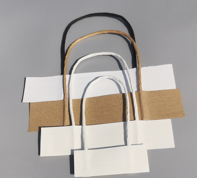 Custom Eco-Friendly Brown Kraft Paper Shopping Bags With Logo Printing Supplier