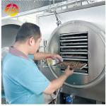 Vacuum Freeze Drying Equipment for Fruit and Vegetable Meat Pre-frozen at -18C