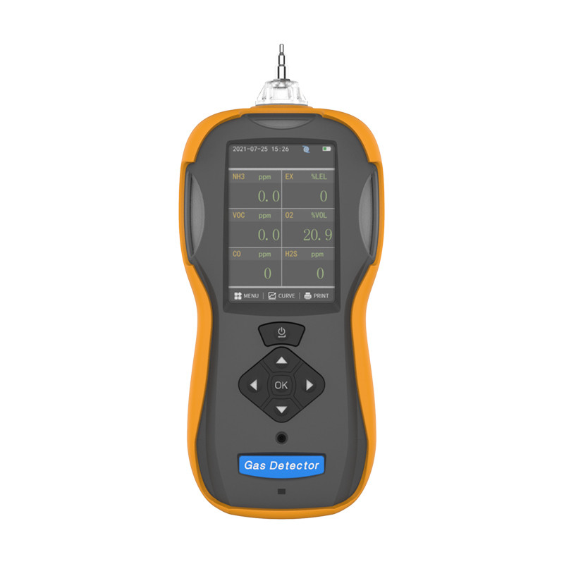 Hand Held Gas Testing Equipment , Pumping Suction Industrial Gas Monitors