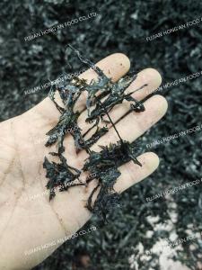 China Porphyra Laver Seaweed Purple Rich Nutrient Superfood For Chinese Cuisine wholesale