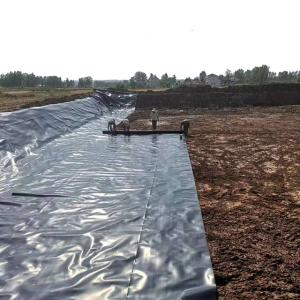 China Industrial Design Style Geomembranes for 2mm Landfill Biodigester HDPE FISH POND LINER wholesale