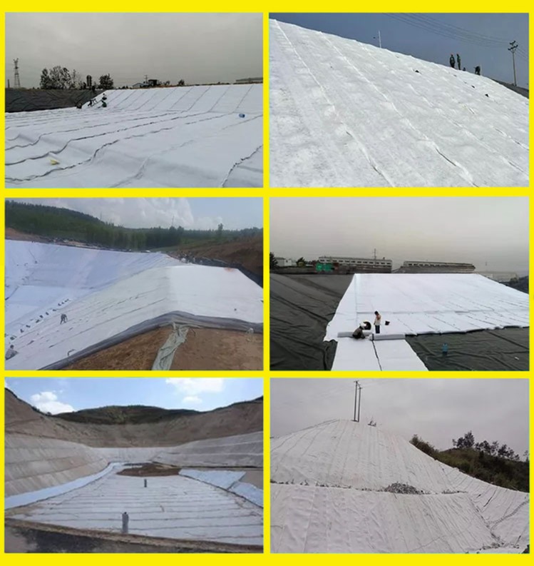 Luxin Composite Drainage Geonet with Geotextile Length 50m/100m/Customer Specification