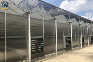 China High Insulating Polycarbonate Agriculture Greenhouses Farming Polyhouse wholesale