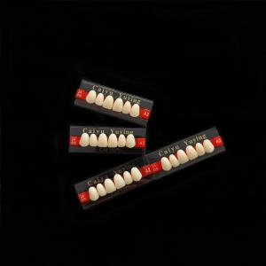 China CE ISO13485 2 Layers Acrylic Resin Teeth Dental Composite False Teeth Dentadura Anteriors Upper, (6x1)x16, 503# wholesale