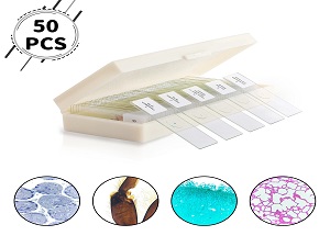 100Pcs Microscope Slides with Specimens