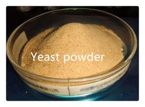China Animal Feed Grade Dried Brewer Fodder Yeast Powder wholesale