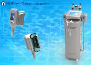 China Cryoliposis machine body shape fast slimming machine wholesale