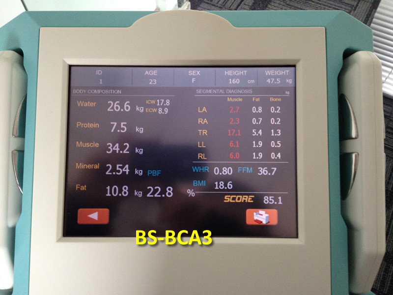 Vertical Segment Human Body Composition Analyzer Equipment For Clinic Healthy Test