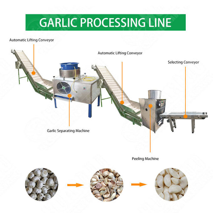 Industrial Automatic Garlic Breaking Peeling Peeler Processing Machine Production Line