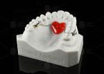 Stainless Steel Orthodontic Nance Appliance Horseshoe Design Orthodontic