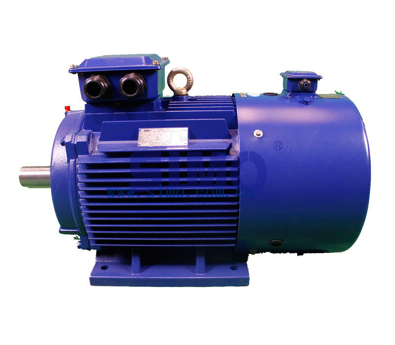 2P To 12P Variable Frequency Drive Motor High Efficiency