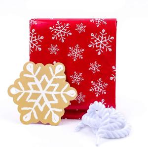 China Recyclable Colorful Plastic Gift Wrap Bags , Jumbo Christmas Gift Bag wholesale