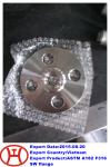 316 UNS S31600 1.4401 WN SO SW blind plate lap joint flange forging disc ring