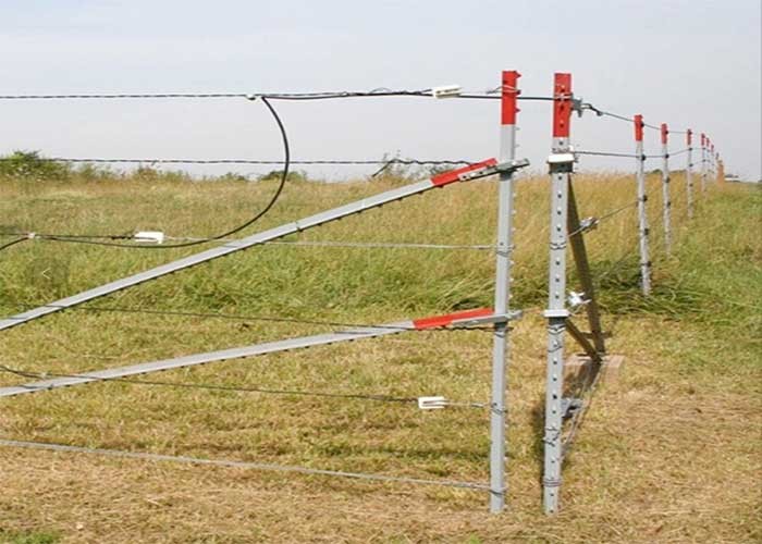 Height 2.4m Studded T Post 1.98kg/M Green Painted T Post