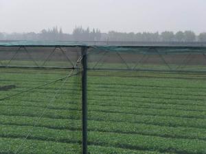 China 250 Meters 100% HDPE Insect Mesh Netting For Vegetable Greenhouse Agricultural wholesale