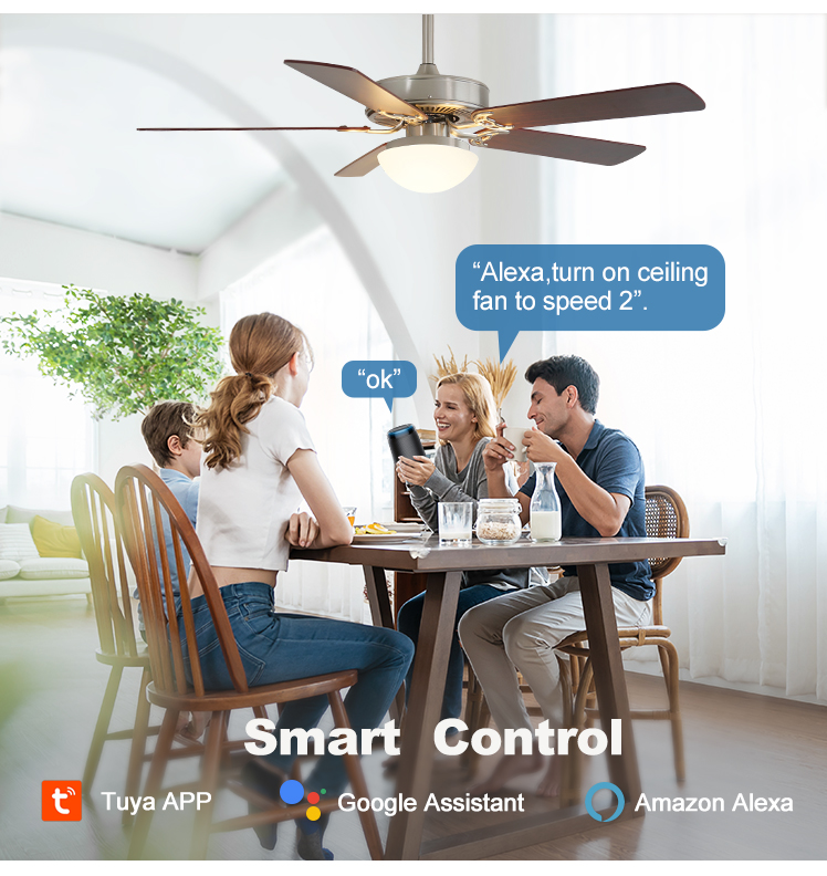 Modern Design Smart Home Remote Control LED Ceiling Fan Light with 2- Coverage
