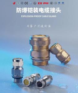China Waterproof IP68 Cable Gland PA66 brase Stainless steel wholesale