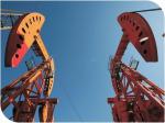Conventional Walking Beam Pumping Unit Crank Balance One Year Warranty