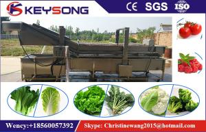 China Industrial Bubble Vegetable Washer Machine , Big Capacity Vegetable Processor Machine wholesale