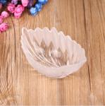 glass Plate