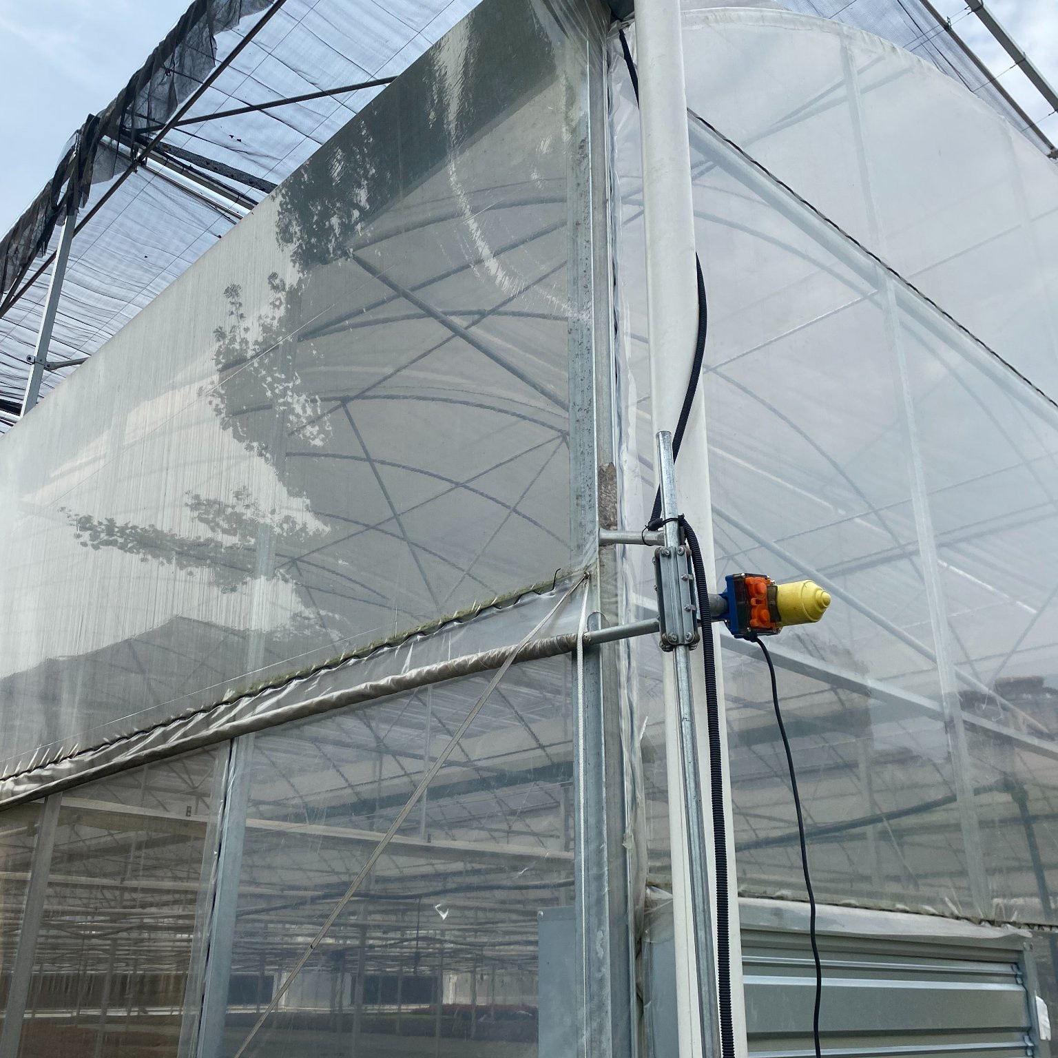 Hydroponic Complete Thailand Multi Span Greenhouse Side Ventilation Industrial