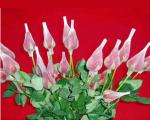 Flower packaging net making machinery