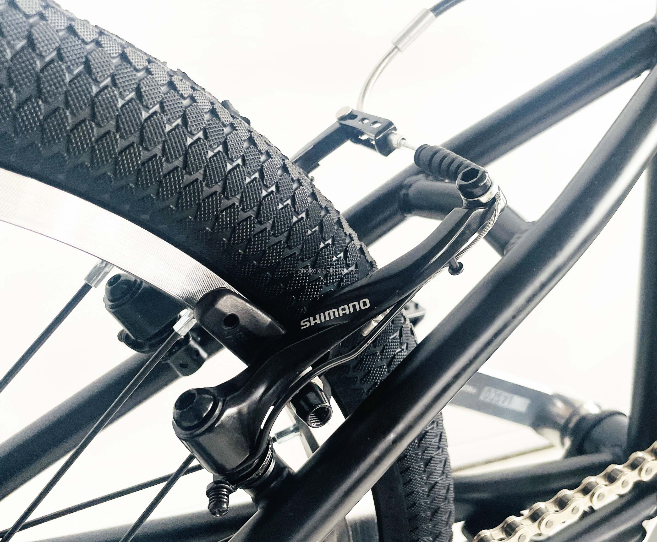 20" Single Speed Electric BMX Bike with Hidden Battery and 24V 250W Motor 20KM/H PAS