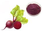Natural Pigment Anti Tumor Red Beetroot Vegetable Extract Powder