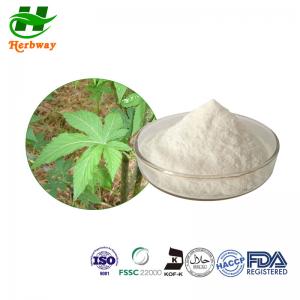 China ISO Sweetener Powder Sweet Tea Extract  70%-85% Rubusoside For Food Addtive wholesale