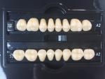 Plastic Polymer Dental Acrylic Resin Teeth A1 A3 2 Layers Dental Composite Resin