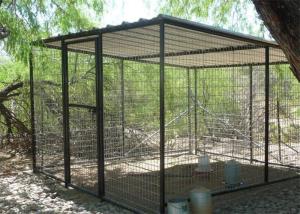 China Bird Aviaries 25mm*50mm diameter 3.00mm wholesale