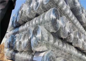 China Animal Farms 1x1 25x25mm Galvanised Welded Wire Mesh wholesale