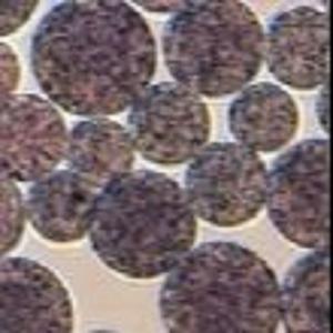 China Agarose NHS Magnetic Beads Preactivated N - Hydroxy Succinimide Nanoparticle wholesale