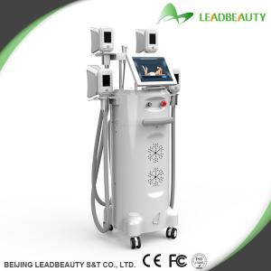 China Professional ! Freeze Cryolipolysis Anti Cellulite Machine wholesale