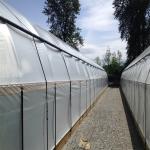 Automatic Outside Shading Light Deprivation System Greenhouse OEM
