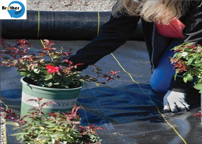 White Puncture Resistant Geotextile Greenhouse Net Weed Control Fabric Weedbarrier with 80GSM Ground Cover