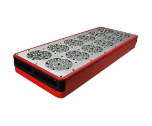 China selling Apollo 12 LED Grow Light AC100~240V 700mA Color Red/Blue High quatily wholesale
