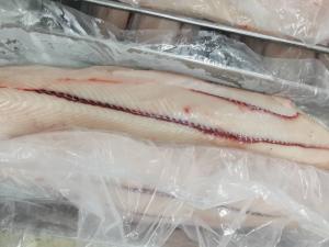 China 2kg Sail Fish IQF Freezing Seafood HGT Frozen Marlin bone wholesale