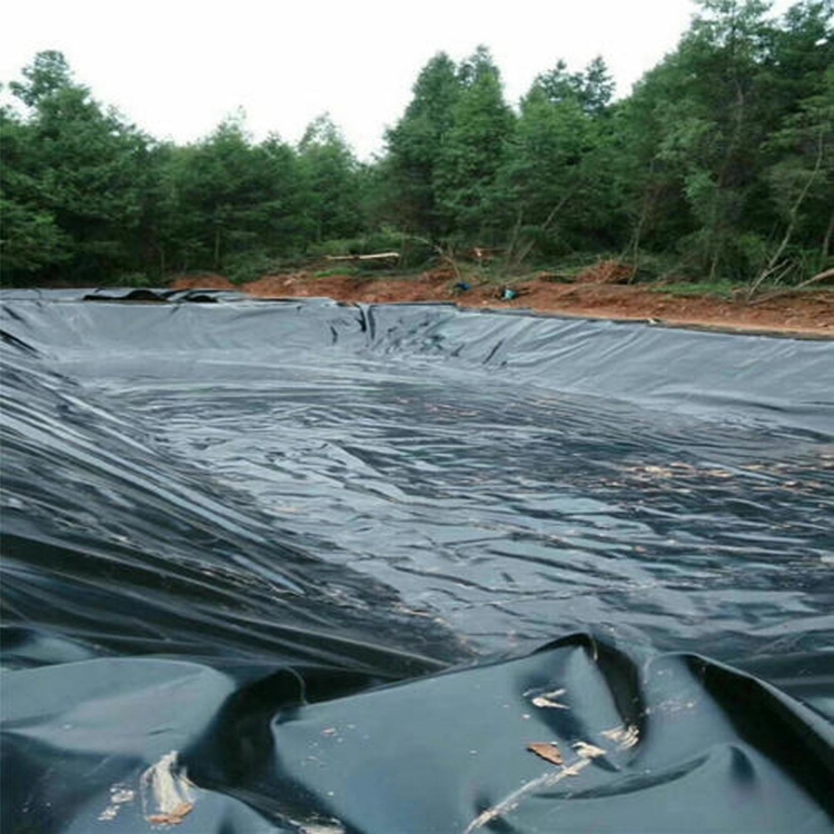 50-200m Length HDPE Smooth Geomembrane Fish Pond Liner for Durability and Longevity