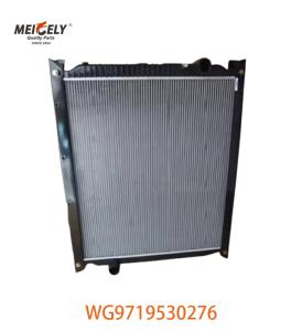 China Original WG9719530276 Radiator Assembly WG9725530270 Fit For HOWO Truck wholesale