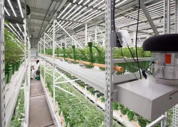 4'X8' Mobile Vertical Multi Cucumber Growing Rack Greenhouse Indoor Ebb And Flow Rolling Tables