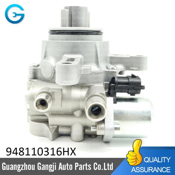 Wholesale Factory Direct Sales 94811031506 Fuel Pump for Porsche Cayenne