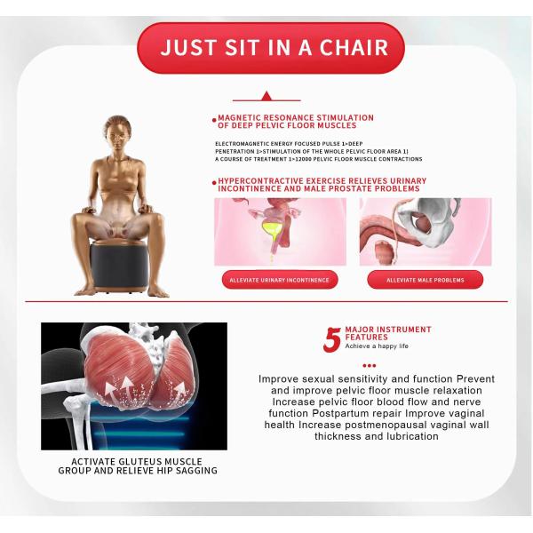 Electronic Muscle Stimulation Pelvic Floor Trainers Urinary Incontinence Treatment