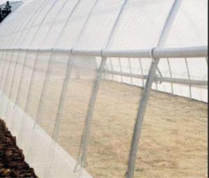China Malla Insect Protection Netting Mosquito Nets Windbreaks ISO 9001 Standard wholesale