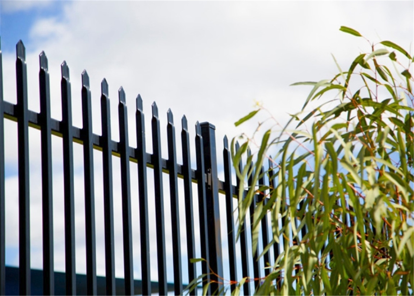 Decorative Steel Wall Fence with Good Quality and Competitive Price