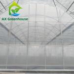 6m 8m 9m Span Clear Plastic Film Greenhouse Vegetable Farming