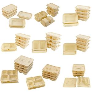 China 500ml natural 2-grid corn starch food storage container can carry a lunch box wholesale